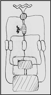 drawing: step 6